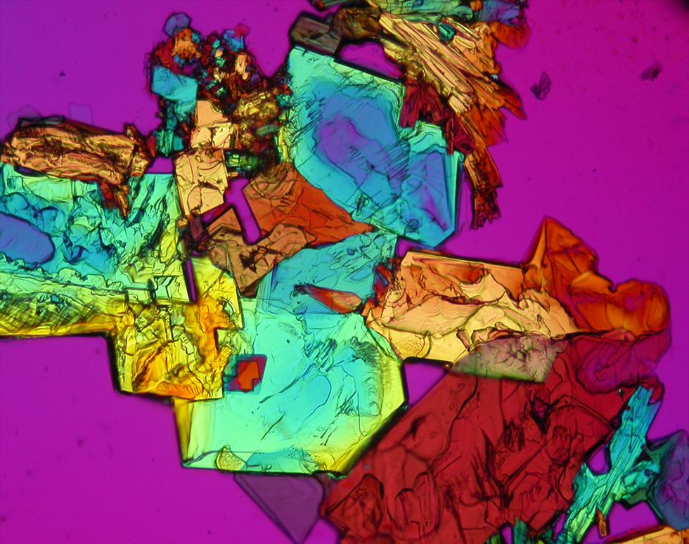 Colour Splash - Elizabeth Sargent